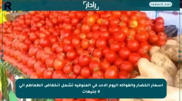 أسعار الخضار والفواكه اليوم الأحد في المنوفية تشمل انخفاض الطماطم إلى 8 جنيهات